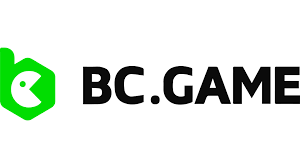 BC.GAME Gambling Establishment Testimonial